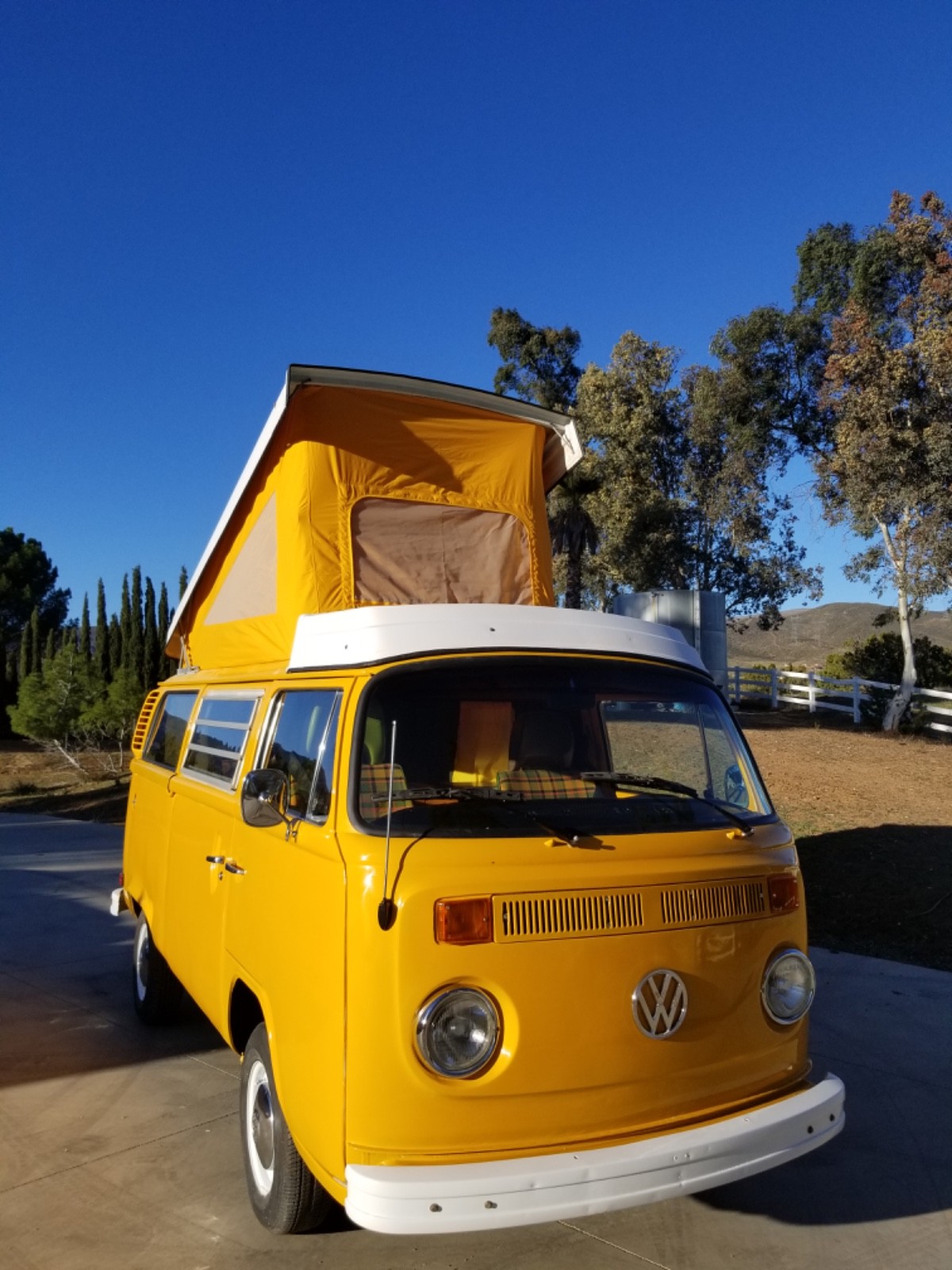 Volkswagen-BusVanagon-1977-3