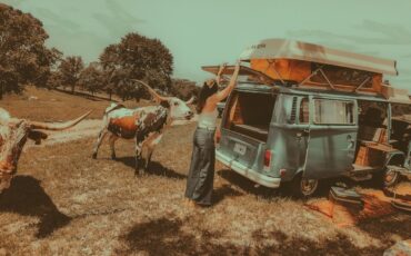 Volkswagen-BusVanagon-1978-Van-4