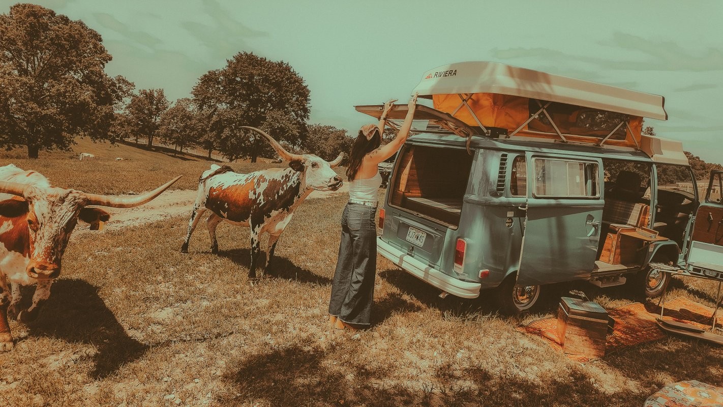 Volkswagen-BusVanagon-1978-Van-4