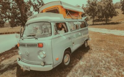 Volkswagen Bus/Vanagon 1978 Van