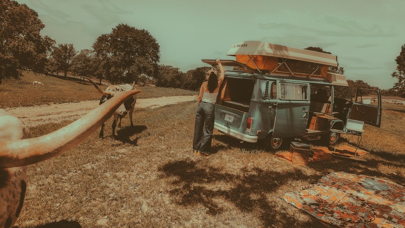 Volkswagen-BusVanagon-1978-Van-7