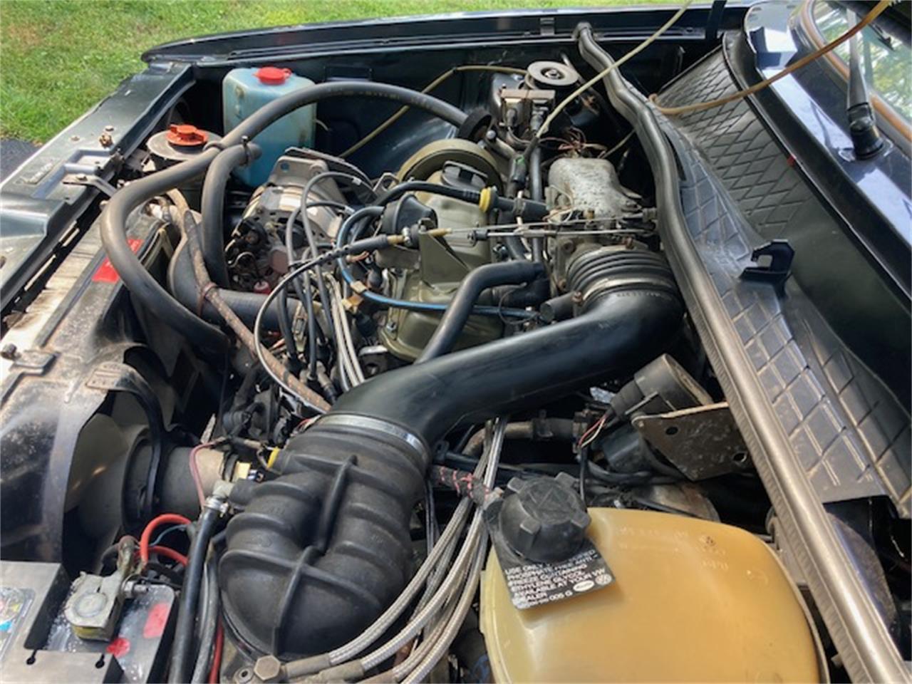 Volkswagen-Cabriolet-1987-Capri-Blue-pinstrips-Capri-Blue-pinstrips-10