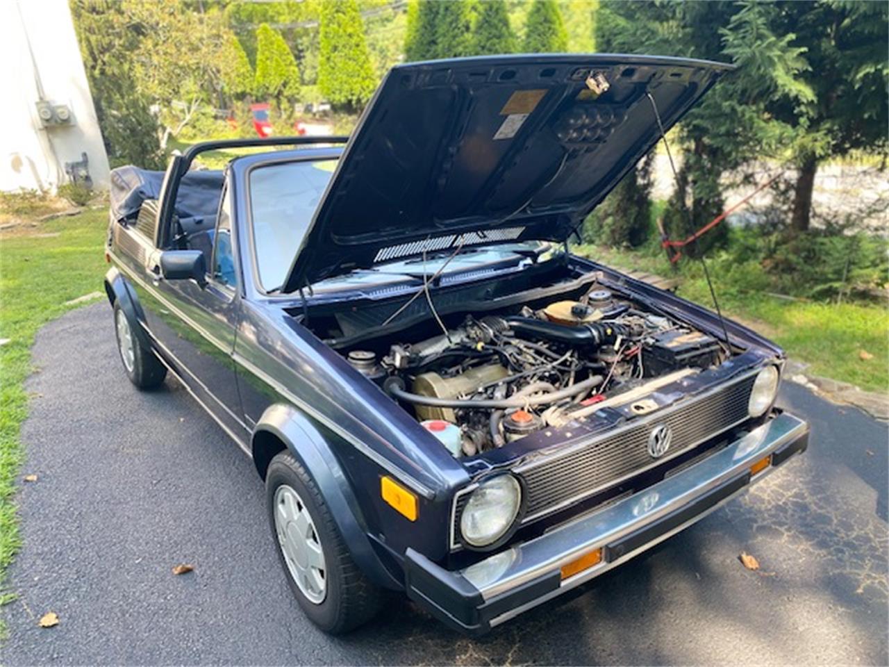 Volkswagen-Cabriolet-1987-Capri-Blue-pinstrips-Capri-Blue-pinstrips-17