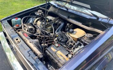 Volkswagen-Cabriolet-1987-Capri-Blue-pinstrips-Capri-Blue-pinstrips-18