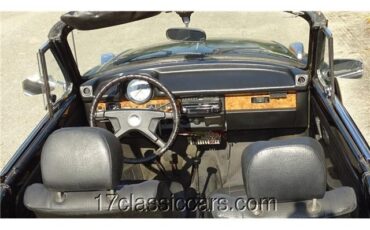 Volkswagen-OLD-BEETLE-1979-2-DOOR-CONVERTIBLE-16