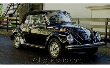 Volkswagen-OLD-BEETLE-1979-2-DOOR-CONVERTIBLE-5