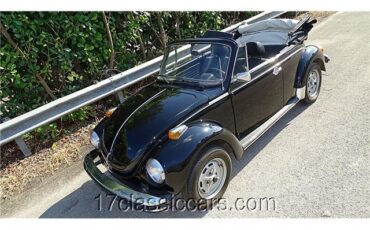 Volkswagen-OLD-BEETLE-1979-2-DOOR-CONVERTIBLE-7
