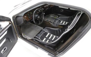 Volkswagen-Other-1969-White-Black-24