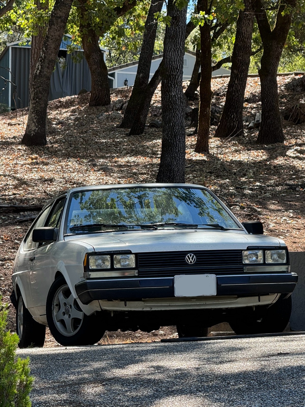 Volkswagen-Quantum-1983-Hatchback-11