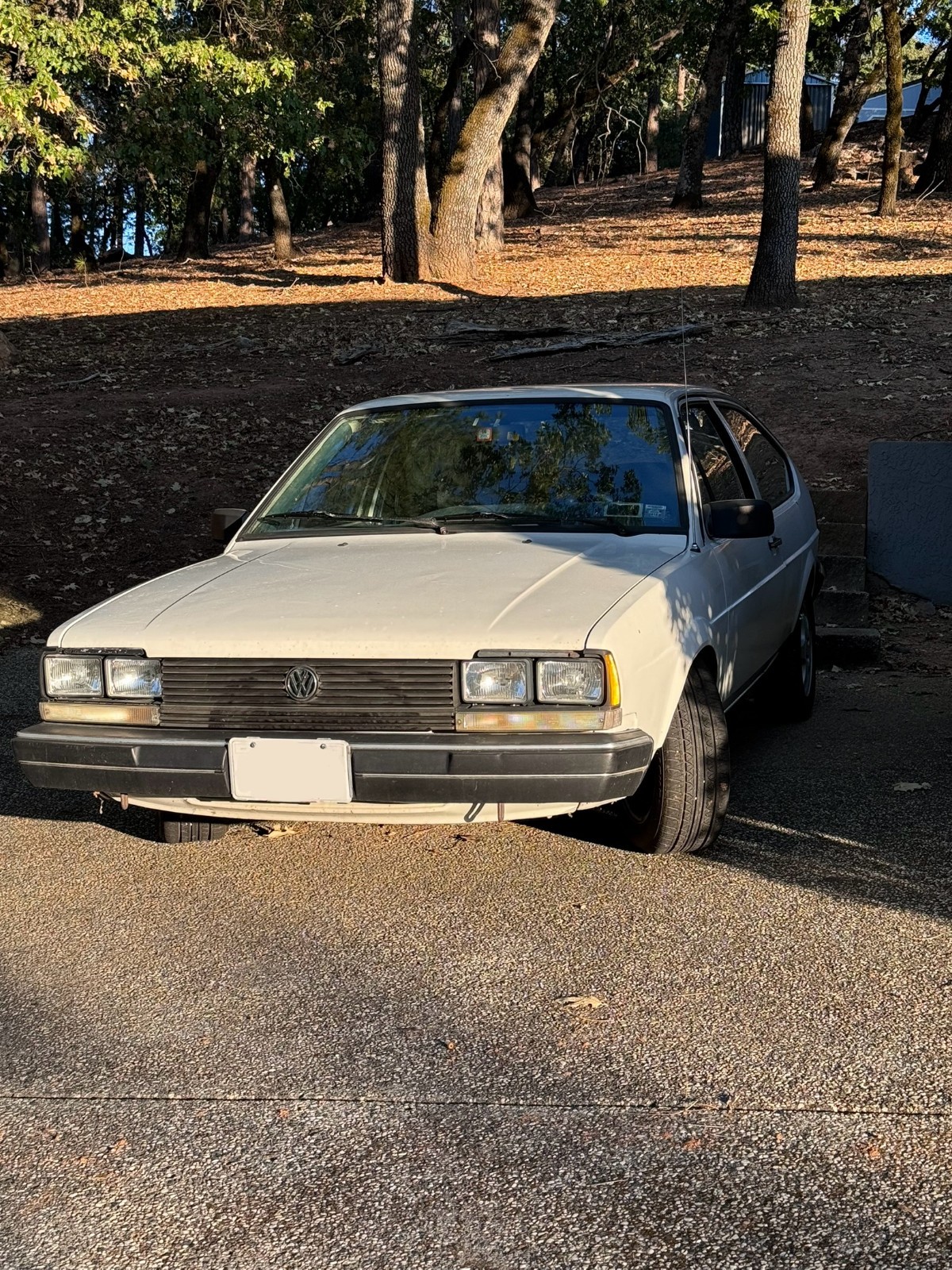Volkswagen-Quantum-1983-Hatchback-9