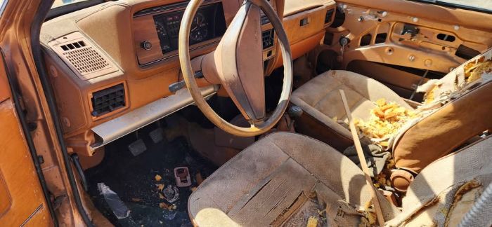 Volkswagen-Rabbit-1981-2