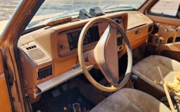 Volkswagen-Rabbit-1981-6