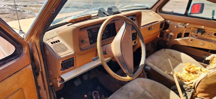 Volkswagen-Rabbit-1981-6
