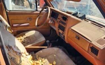Volkswagen-Rabbit-1981-8