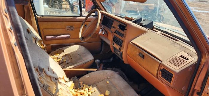 Volkswagen-Rabbit-1981-8