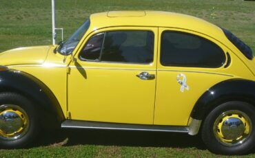Volkswagen-Super-Beetle-1974-Compact-13