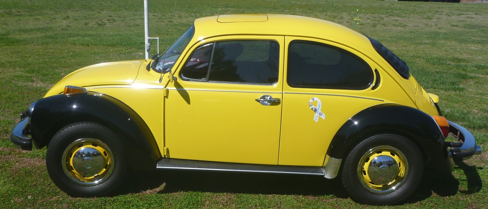 Volkswagen-Super-Beetle-1974-Compact-13