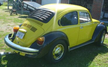 Volkswagen-Super-Beetle-1974-Compact-14
