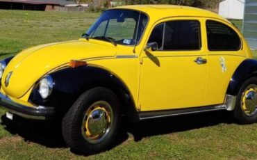 Volkswagen-Super-Beetle-1974-Compact-16