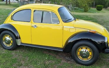 Volkswagen-Super-Beetle-1974-Compact-2