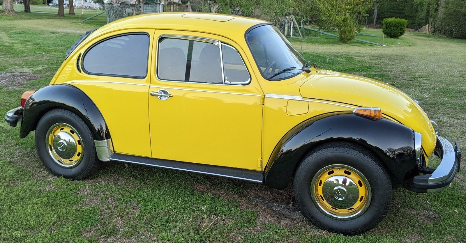 Volkswagen-Super-Beetle-1974-Compact-2