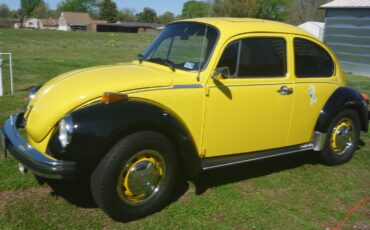 Volkswagen-Super-Beetle-1974-Compact