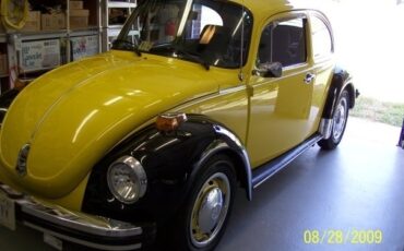 Volkswagen-Super-Beetle-1974-Compact-6