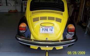 Volkswagen-Super-Beetle-1974-Compact-7