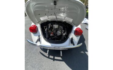 Volkswagen-Super-beetle-1979-peal-white-white-14