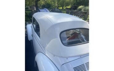 Volkswagen-Super-beetle-1979-peal-white-white-3