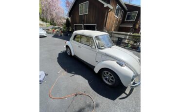 Volkswagen-Super-beetle-1979-peal-white-white-7