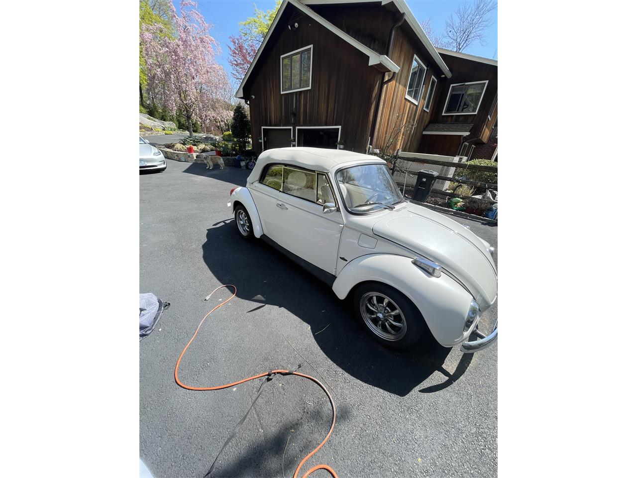 Volkswagen-Super-beetle-1979-peal-white-white-7
