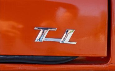 Volkswagen-Type-3-1974-Orange-Gray-22