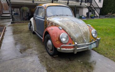 Volkswagen-beetle-1959-1