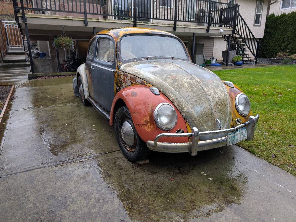 Volkswagen-beetle-1959-1
