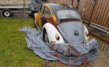 Volkswagen-beetle-1959
