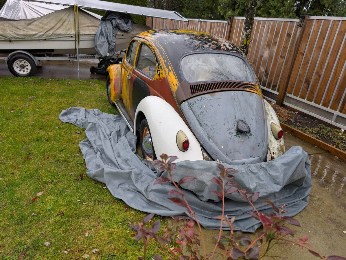 Volkswagen-beetle-1959
