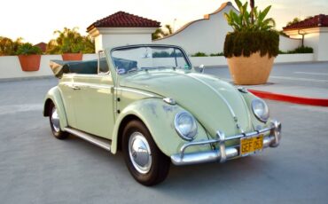 Volkswagen-beetle-1960-green-1