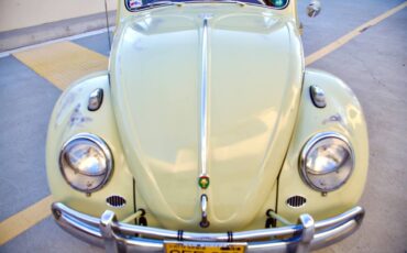 Volkswagen-beetle-1960-green-10