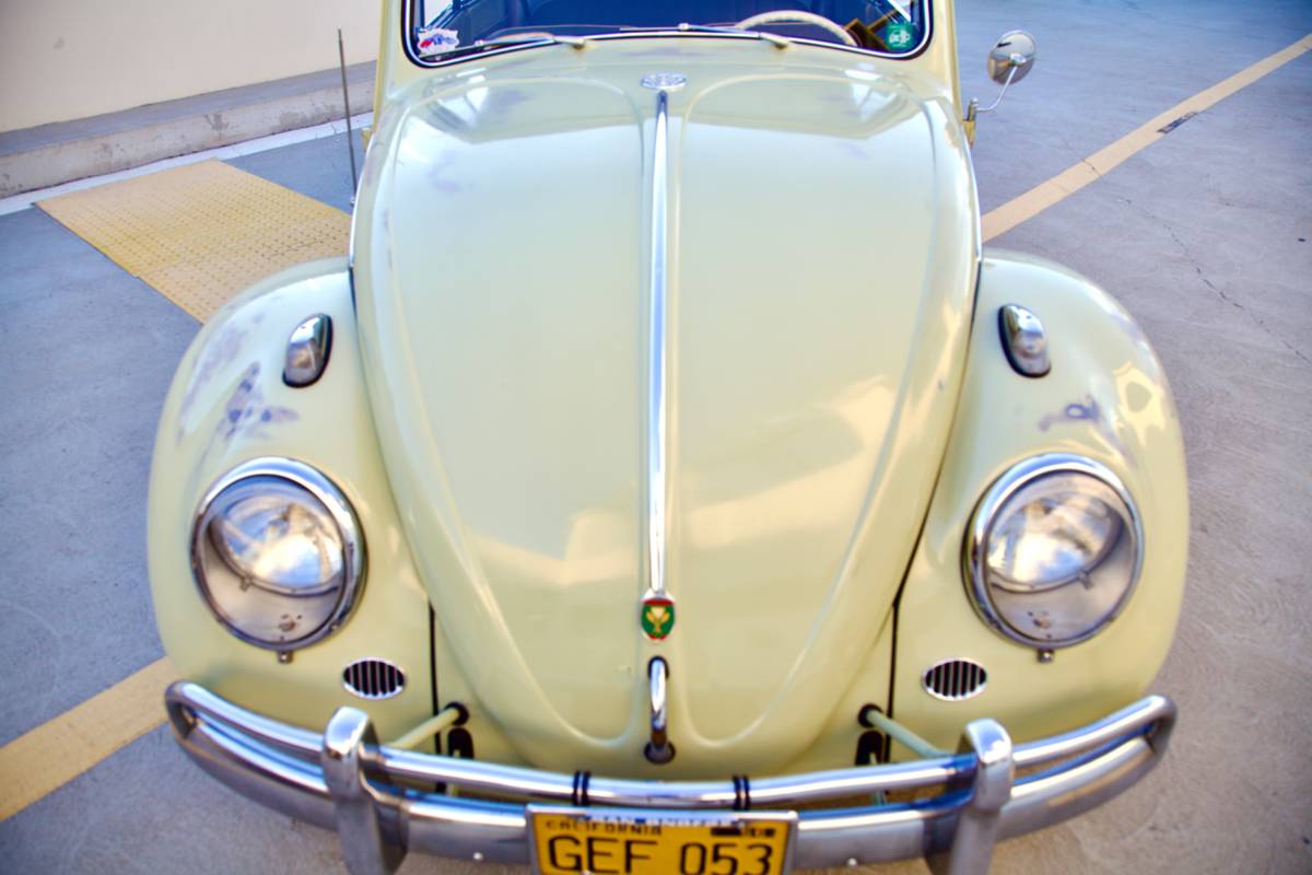 Volkswagen-beetle-1960-green-10
