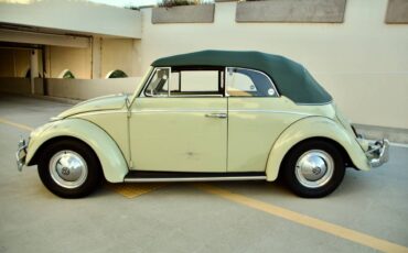 Volkswagen-beetle-1960-green-18