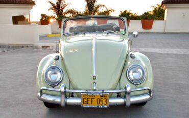 Volkswagen-beetle-1960-green-19