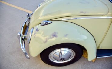 Volkswagen-beetle-1960-green-2