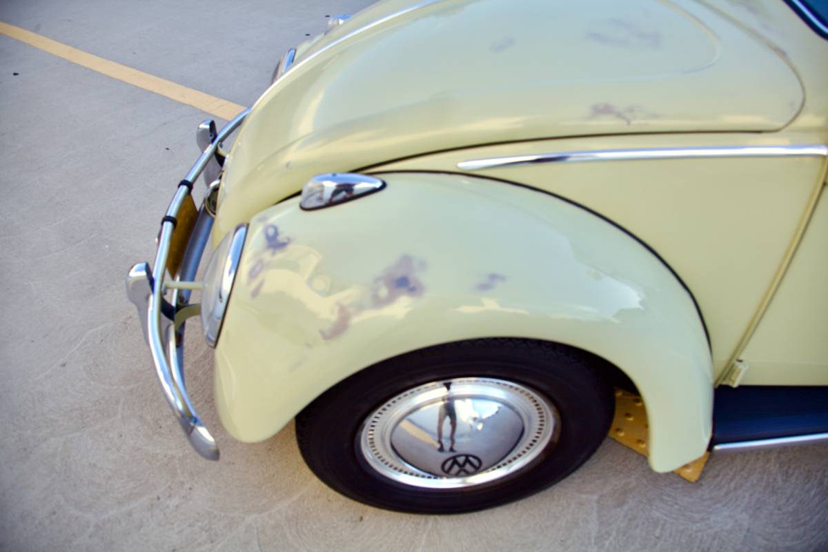 Volkswagen-beetle-1960-green-2