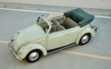 Volkswagen-beetle-1960-green-22