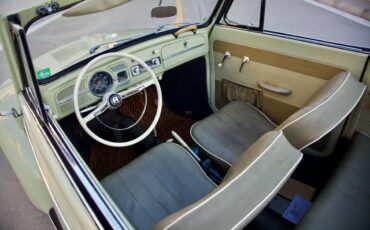 Volkswagen-beetle-1960-green-3