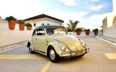 Volkswagen-beetle-1960-green