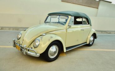 Volkswagen-beetle-1960-green-5