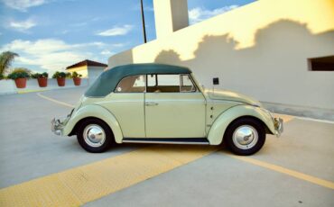 Volkswagen-beetle-1960-green-6