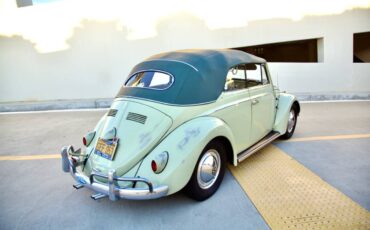 Volkswagen-beetle-1960-green-8